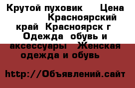 Крутой пуховик)) › Цена ­ 1 500 - Красноярский край, Красноярск г. Одежда, обувь и аксессуары » Женская одежда и обувь   